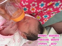 多囊卵巢造就不孕 试管婴儿来送子