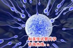 卵泡成熟路上会遇到什么障碍