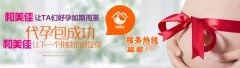 秋来“孕”转，从以下几个方面做起