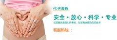 健康的卵巢让代妈更有魅力