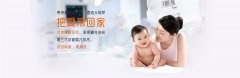 叶酸补充划重点