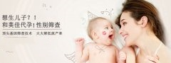 备孕期的代妈应注意什么