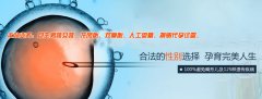 试管婴儿降调节的作用是什么