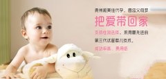 试管期间怎么备孕比较好